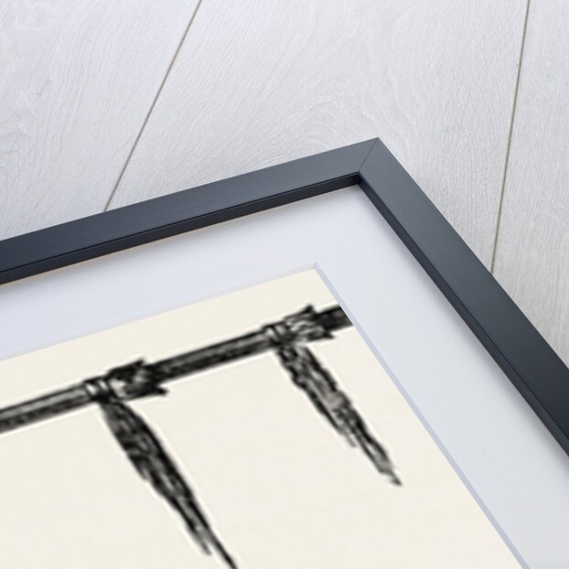 Indian Pipe by Anonymous