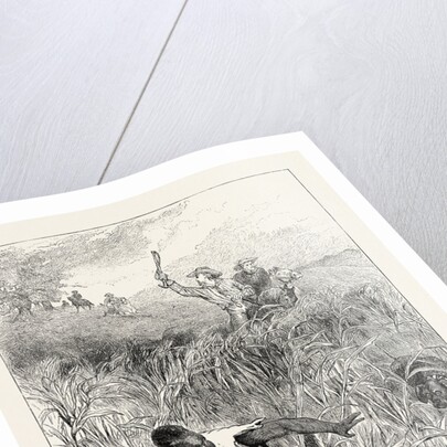 A Slave Hunt, United States of America, Slavery by Anonymous