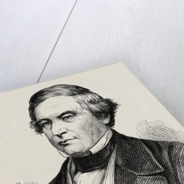 President Fillmore by Anonymous