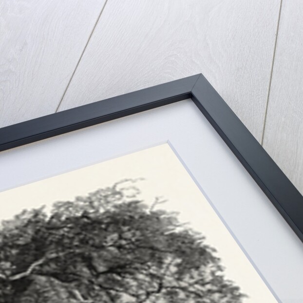 View on the Panama Railroad, Panama by Anonymous