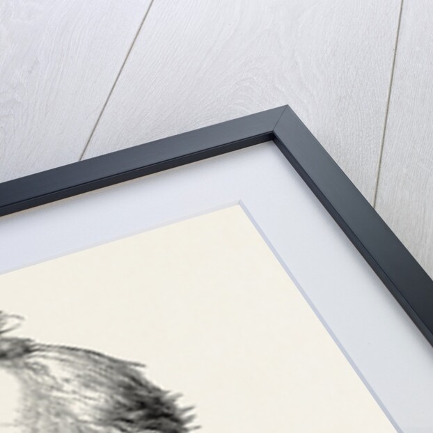 President Buchanan by Anonymous