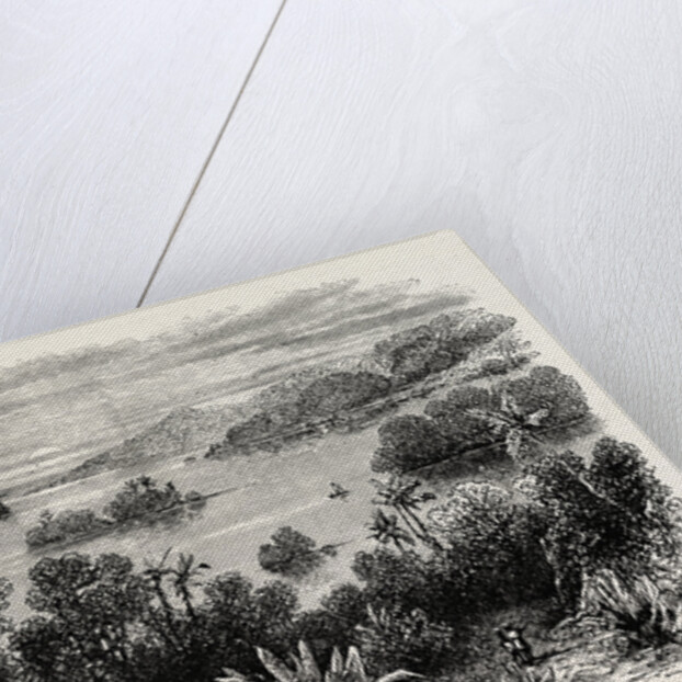 Bay Islands, Honduras by Anonymous