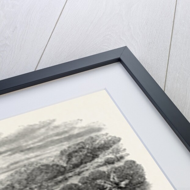 Bay Islands, Honduras by Anonymous