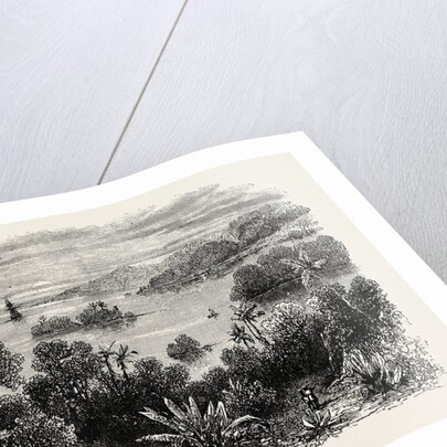 Bay Islands, Honduras by Anonymous