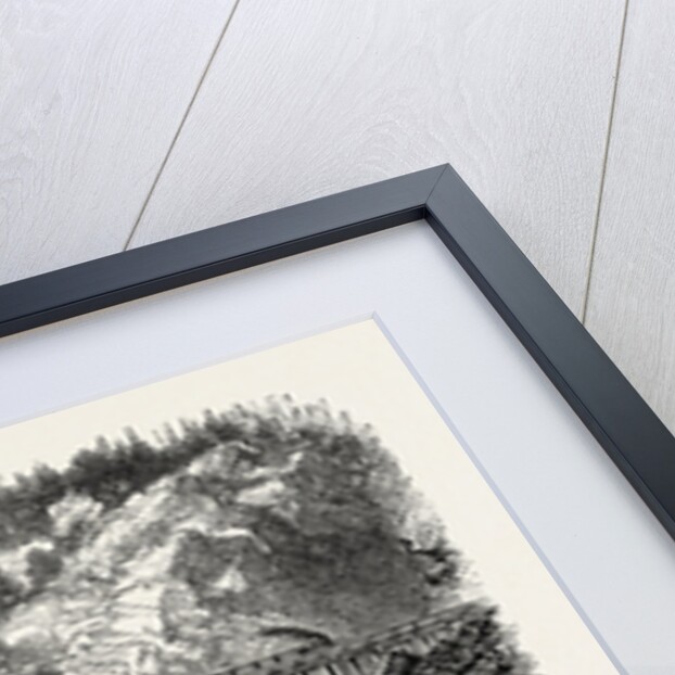 On the Baltimore and Ohio Railway by Anonymous