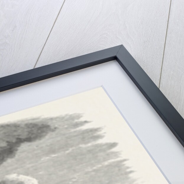 Destruction of Fort Ocracoke by Anonymous