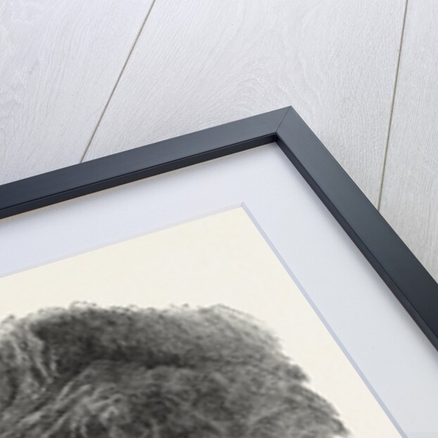 Cumberland Gap by Anonymous