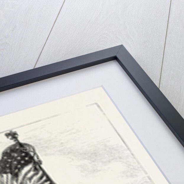 Incident at the Siege of Vicksburg, American Civil War by Anonymous