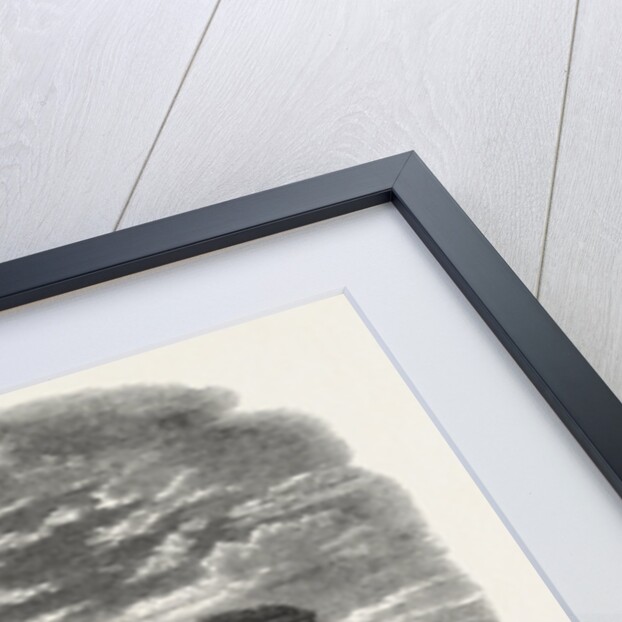 Fort Sumter in Ruins, American Civil War by Anonymous