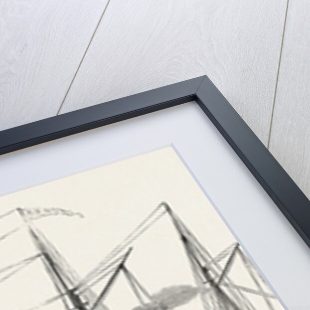 The Screw Steamer Arno, for the Mediterranean by Anonymous