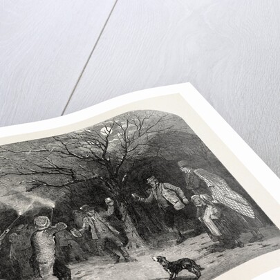Firing at the Apple Tree, in Devonshire by Anonymous