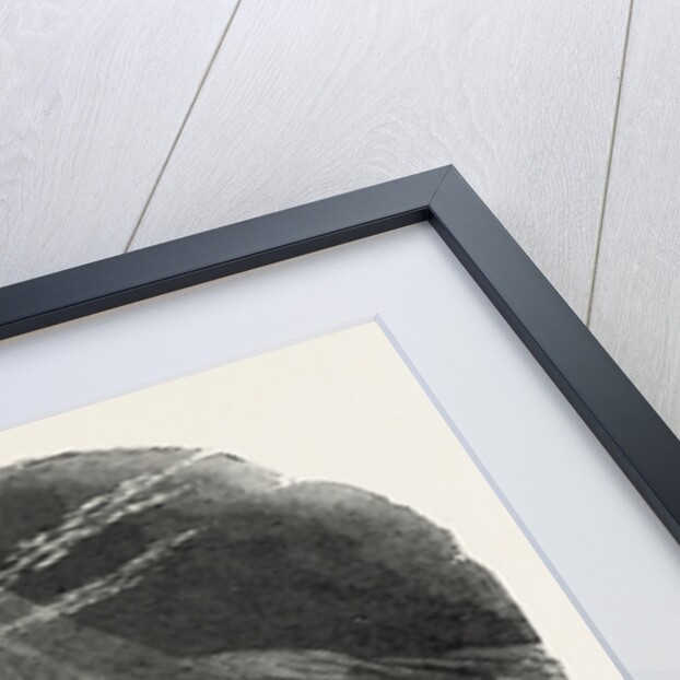 Climbing the Mont Blanc: The Summit of Mont Blanc, Seen Prom the Rocher Rouge, Alps, French Alps, France by Anonymous