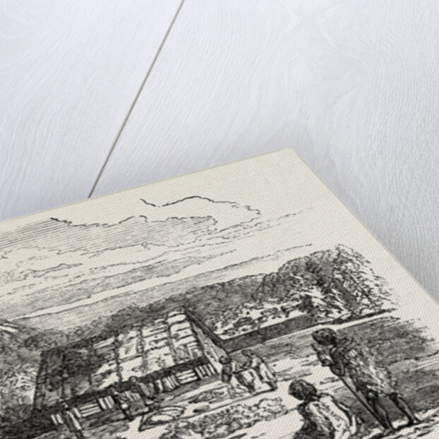 View on Waitera River, North Bank, New Zealand by Anonymous