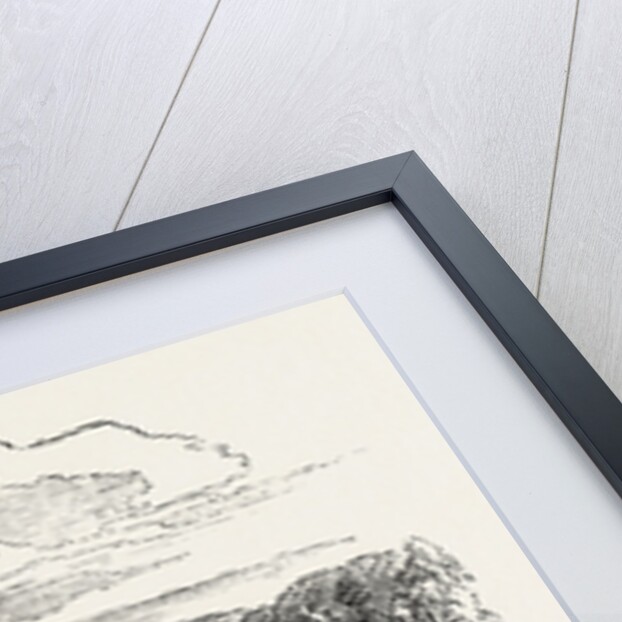 View on Waitera River, North Bank, New Zealand by Anonymous