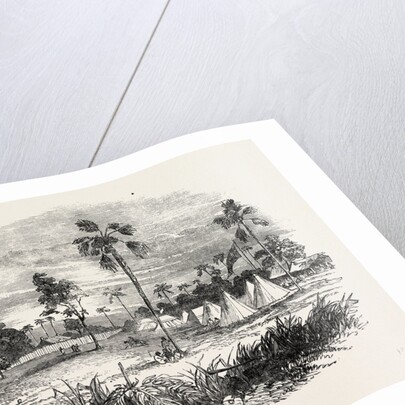 Encampment at Jaswong, Gambia, West Africa by Anonymous