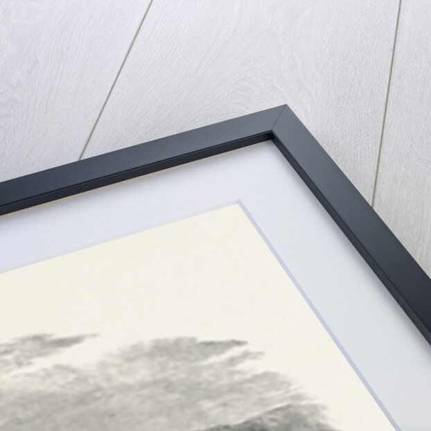 Rye Swing Bridge, on the South Eastern Railway by Anonymous