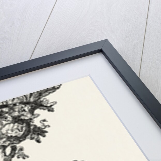 Plate Presented to James Hay, Esq. by Anonymous