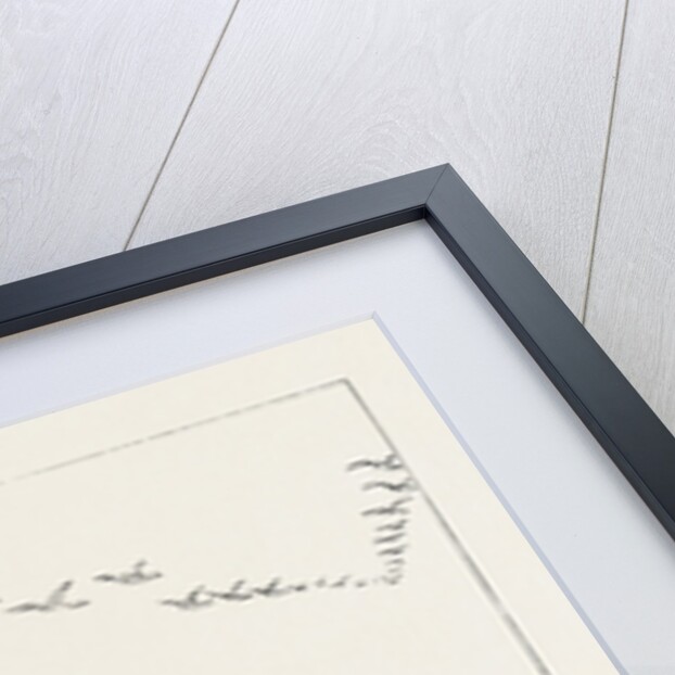 The Eagle's Throne, Exhibition of the British Institution by Anonymous