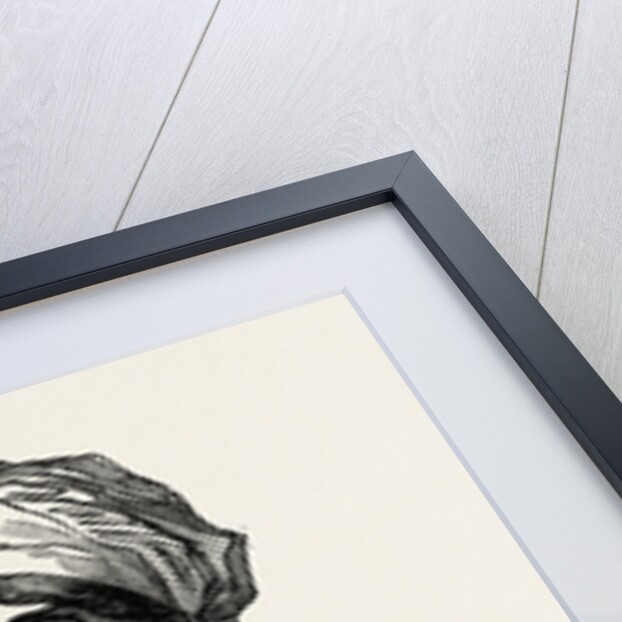 Joanna Baillie by Anonymous