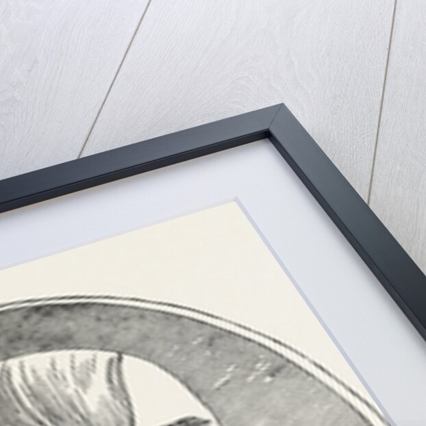 Mademoiselle Caroline Duprez, 1832-1874, French Soprano by Anonymous