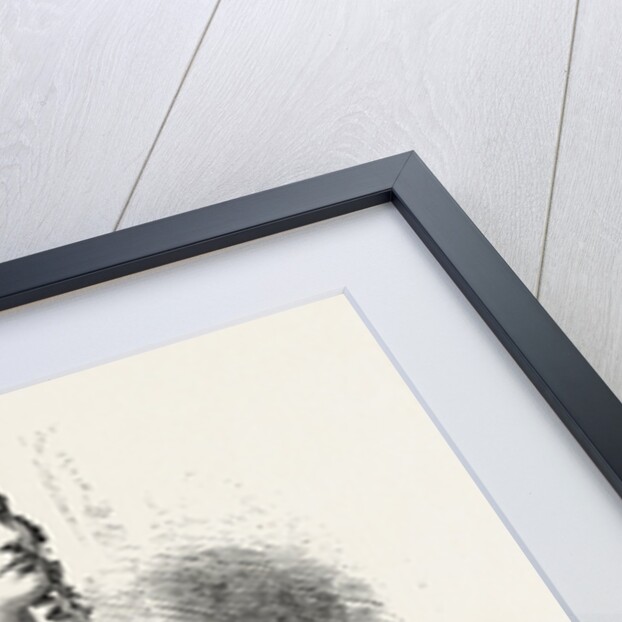 Mdlle. Elena Angri,1821/1824-1886, of the Royal Italian Opera, Covent Garden, London by Anonymous