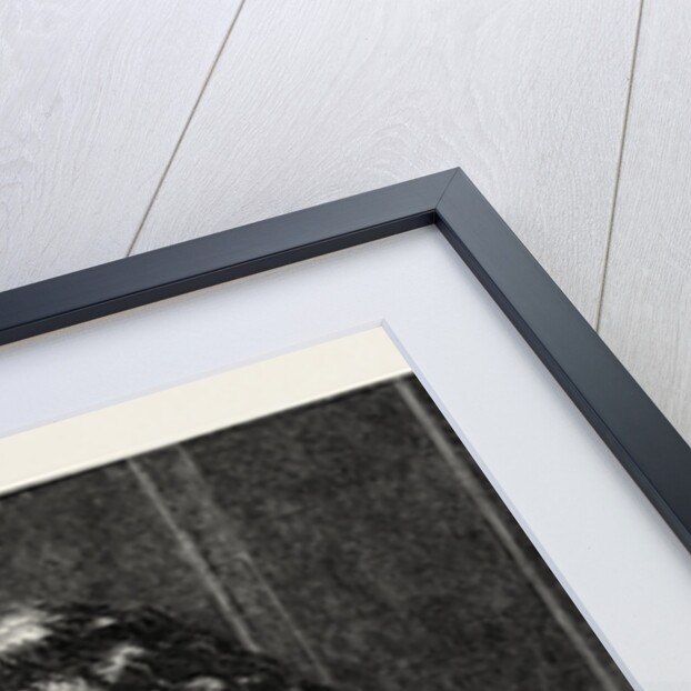 Shade, in the Exhibition of the British Institution by Anonymous