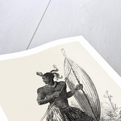 Zulu Warrior, Kaffraria, South Africa by Anonymous