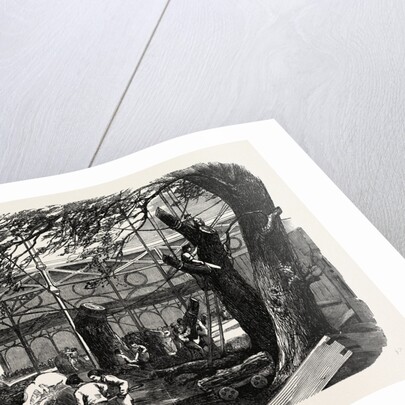 The Great Exhibition Building, the Crystal Palace, Hyde Park, London, Cutting Down Trees in the North Transept by Anonymous