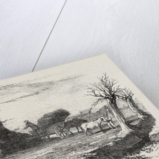 Whittlesea Mere, Carting Peat from the Stack by Anonymous