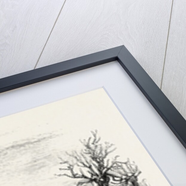 Whittlesea Mere, Carting Peat from the Stack by Anonymous