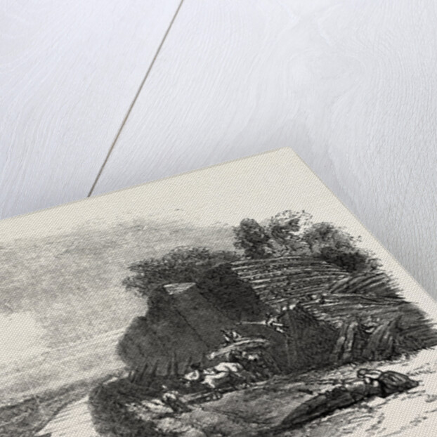 Whittlesea Mere, Stacking Reed, by the Holme Lodge by Anonymous