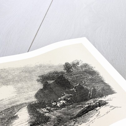 Whittlesea Mere, Stacking Reed, by the Holme Lodge by Anonymous