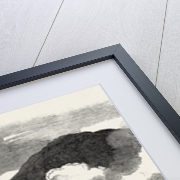 The Kaffir War: Part of Colonel Mackinnon's Patrol of the Cape Corps Burning the Kraals of a Rebel Kaffir Chief, South Africa by Anonymous