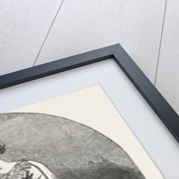 Rosamunda by Anonymous