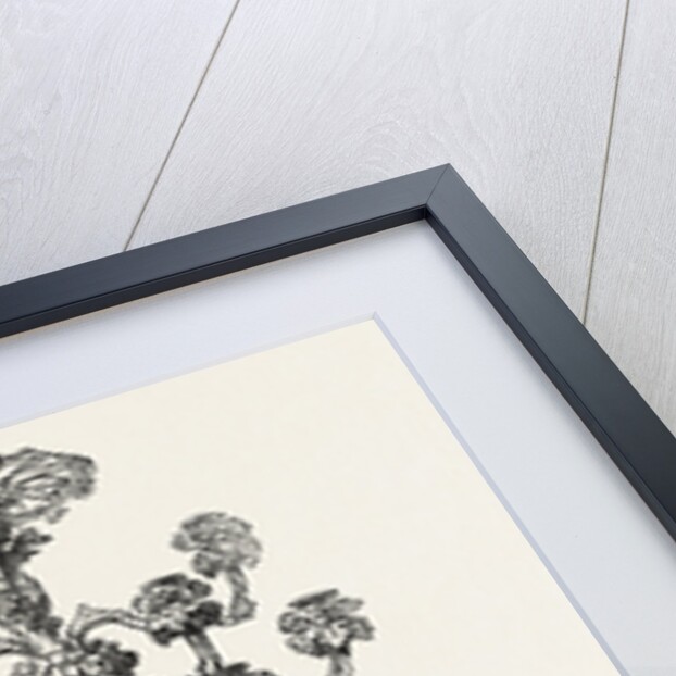 Centrepiece by Anonymous