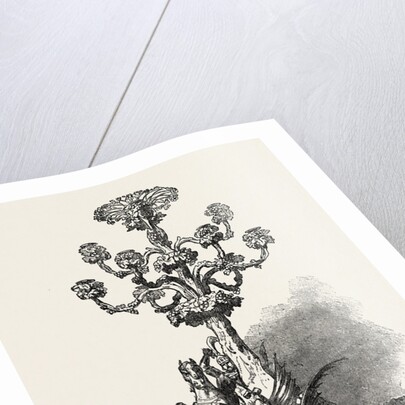 Centrepiece by Anonymous