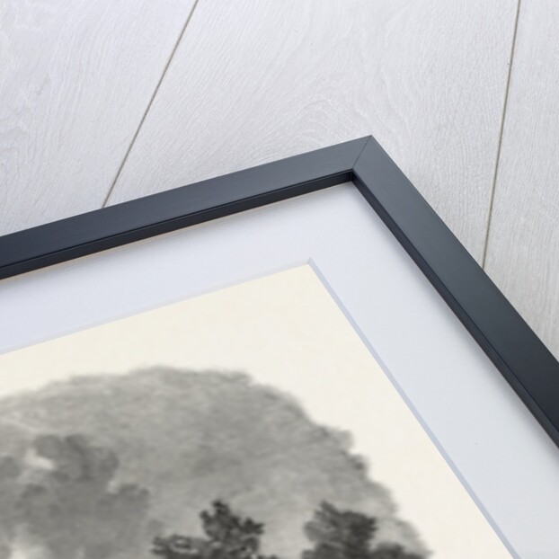 Rotten Row, Hyde Park, London by Anonymous