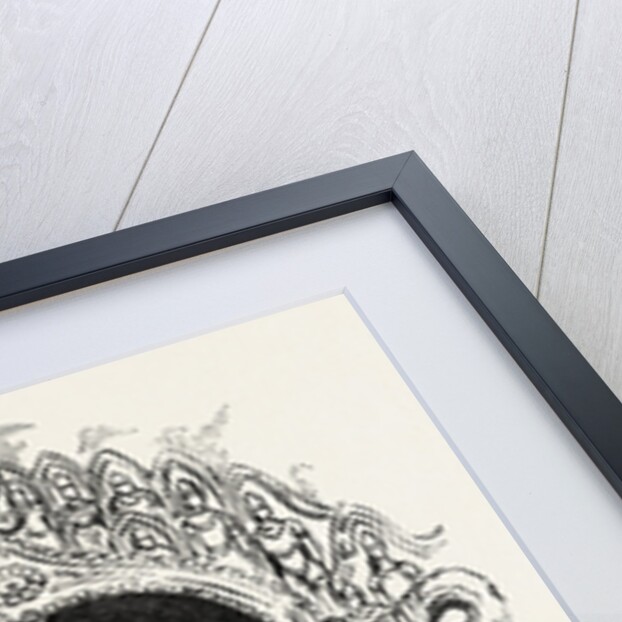 Kiddapple, the Rebel Buddhist Priest, Shot at Kandy,Sri Lanka by Anonymous