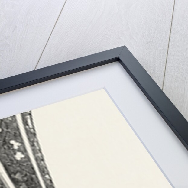 Ice Vase by Anonymous