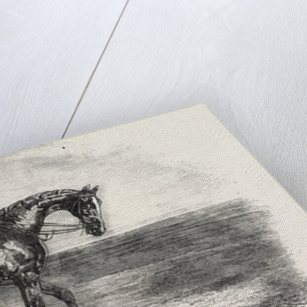 Ascot Races by Anonymous