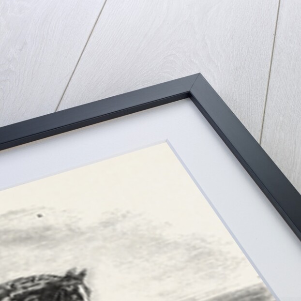 Ascot Races by Anonymous