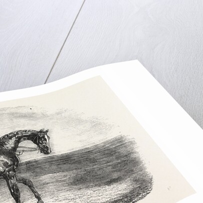 Ascot Races by Anonymous