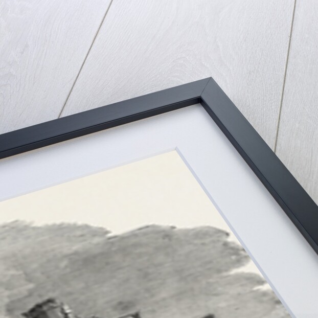 The Great Exhibition, London: Model Houses for the Working Classes: Prince Albert's Model Lodging House; the Contribution of His Royal Highness to the Great Exhibition is a Block of Model Houses by Anonymous