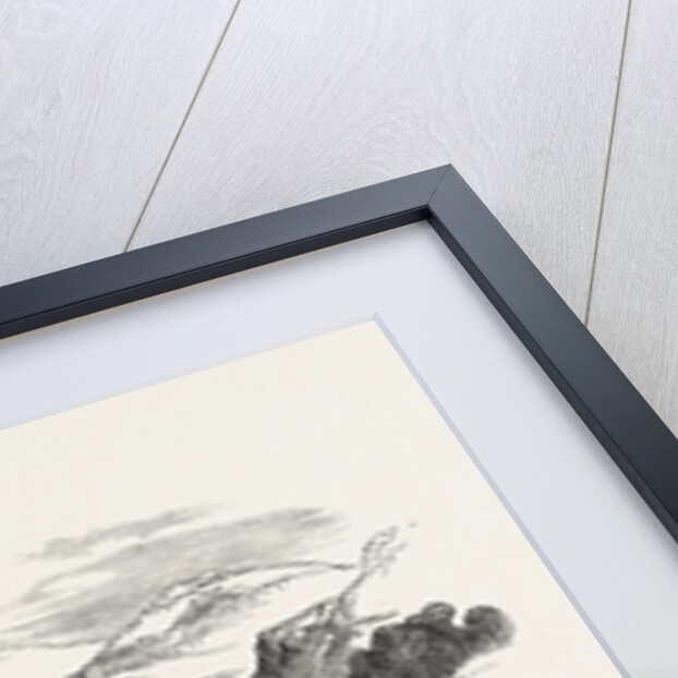 The War in Kaffirland: Destruction of Stock's Kraal, on the Keiskamma River, South Africa by Anonymous