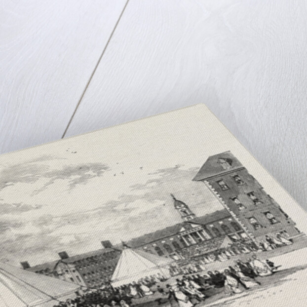 Grand Musical Festival and Fancy Fair in the Gardens of Chelsea College, in Aid of the Consumption Hospital, at Brompton by Anonymous