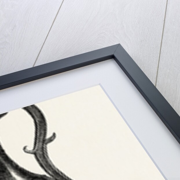 Black Marble Vase by Anonymous