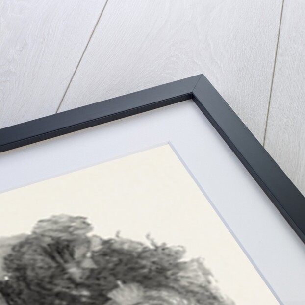 Cremorne Gardens, the Orchestra, London; Pleasure Ground, Entertainment by Anonymous