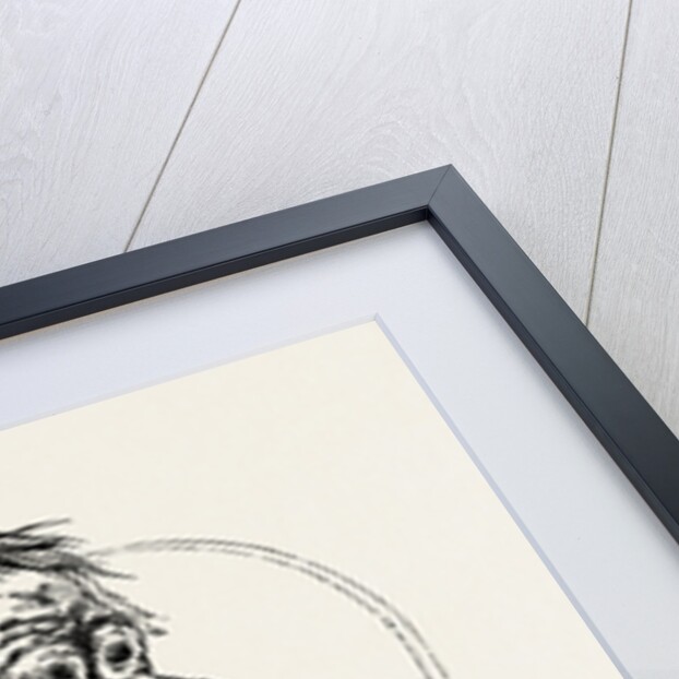 Orang Utan, Presented to the Zoological Society's Gardens, Regent's Park, London by Anonymous