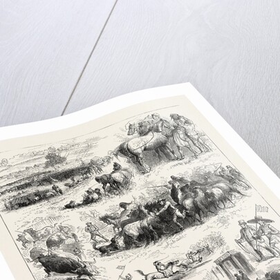 Bipeds and Quadrupeds at Barnet Fair by Anonymous