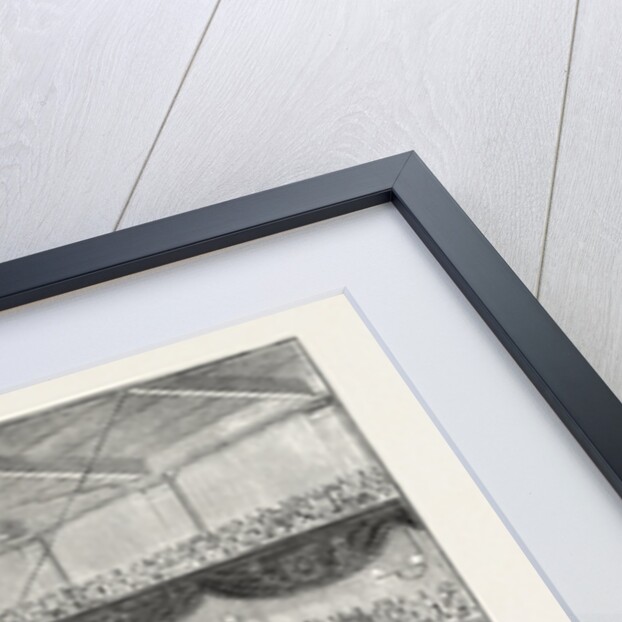 The Funeral of the Duke of Brunswick at Geneva: The Service in the Hall of the Reformation, Switzerland by Anonymous